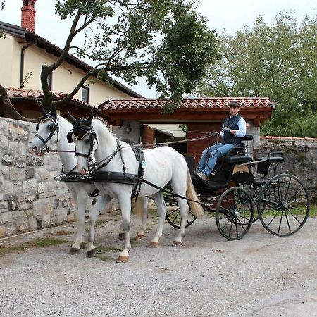 Country House Lokev Pensionat Eksteriør billede