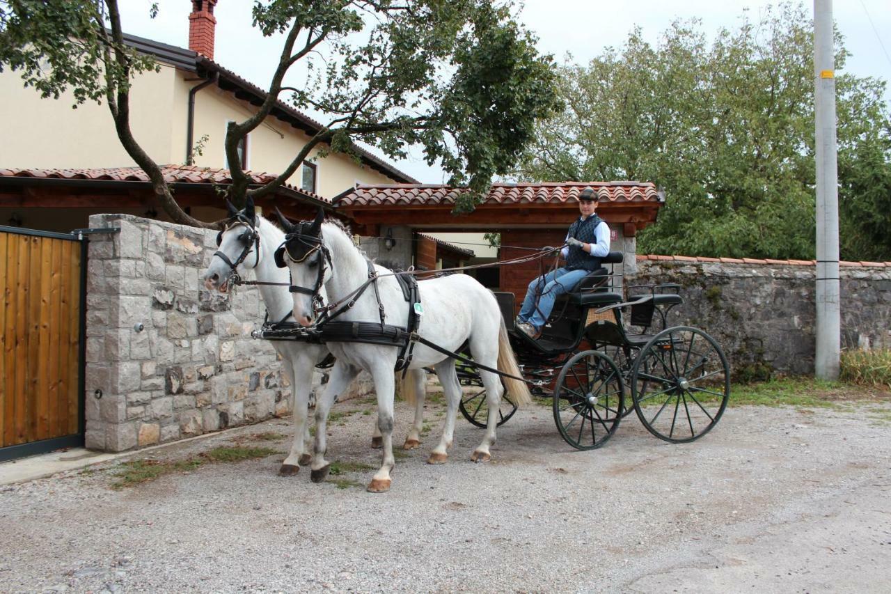 Country House Lokev Pensionat Eksteriør billede